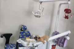 hospital-pic-4